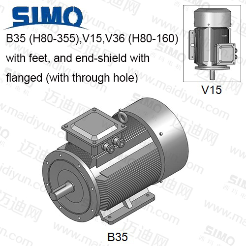YE2(IP55)系列-機(jī)座帶底腳、端蓋上有凸緣(帶通孔)電動(dòng)機(jī)
