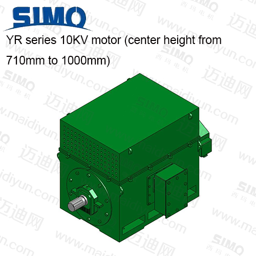 YR系列 10KV(中心高710-1000) 三相異步電動(dòng)機(jī)